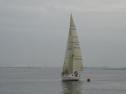 0096_xlarge001.jpg