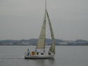 0099_xlarge001.jpg
