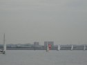 0101_xlarge001.jpg