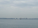 0102_xlarge001.jpg