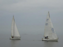 0106_xlarge001.jpg