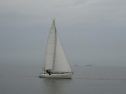 0108_xlarge001.jpg
