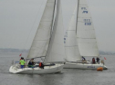 0111_xlarge001.jpg