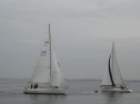 0112_xlarge001.jpg