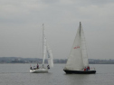 0115_xlarge001.jpg