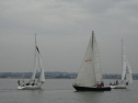 0116_xlarge001.jpg