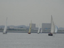 0124_xlarge001.jpg