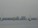 0125_xlarge001.jpg