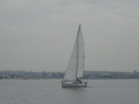 0126_xlarge001.jpg