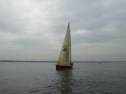 0130_xlarge001.jpg