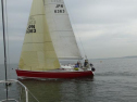 0131_xlarge001.jpg