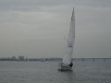 0135_xlarge001.jpg