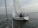 0136_xlarge001.jpg