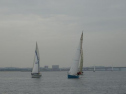 0137_xlarge001.jpg
