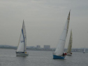 0138_xlarge001.jpg