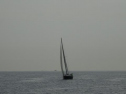 0146_xlarge001.jpg