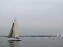 IMG_3413001.jpg