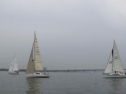 IMG_3414001.jpg