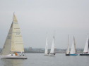 IMG_3416001.jpg