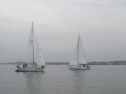 IMG_3421001.jpg