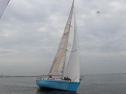 IMG_3429001.jpg