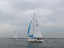IMG_3436001.jpg