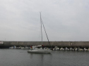 IMG_3448001.jpg