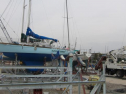 IMG_3454001.jpg