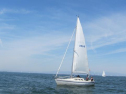 IMG_3558001.jpg