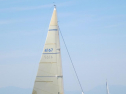IMG_3566001.jpg