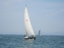 IMG_3570001.jpg