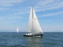 IMG_3571001.jpg