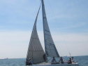 IMG_3572001.jpg