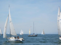 IMG_3577001.jpg