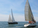IMG_3579001.jpg