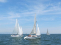 IMG_3581001.jpg