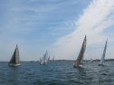 IMG_3584001.jpg