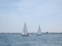 IMG_3586001.jpg