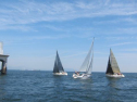 IMG_3588001.jpg