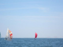 IMG_3590001.jpg