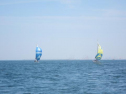 IMG_3591001.jpg