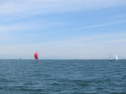 IMG_3600001.jpg