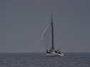 DSC_7404001.jpg