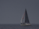 DSC_7405001.jpg