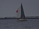 DSC_7406001.jpg