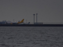 DSC_7407001.jpg