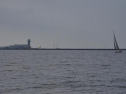 DSC_7411001.jpg