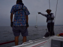 DSC_7412001.jpg