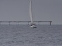 DSC_7415001.jpg