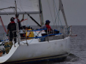 DSC_7421001.jpg